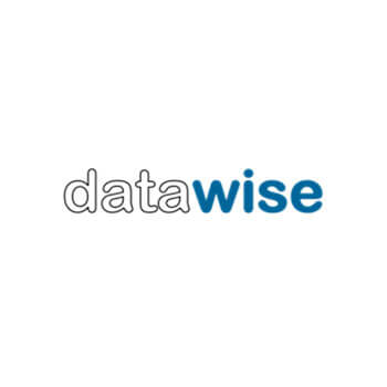 datawise consulting