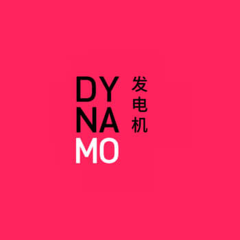 dynamo consulting