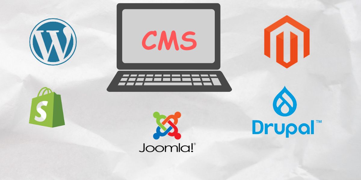 top cms platforms for website development